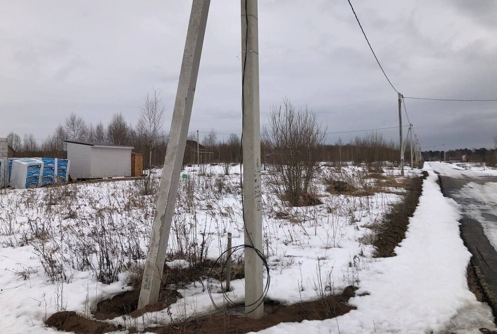 земля городской округ Пушкинский с Братовщина Бабушкинская фото 2