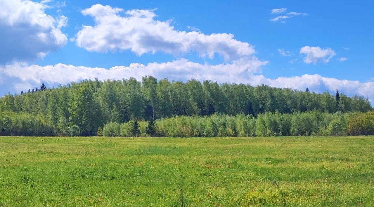 дом г Ступино ул Центральная Шелково Парк кп фото 45