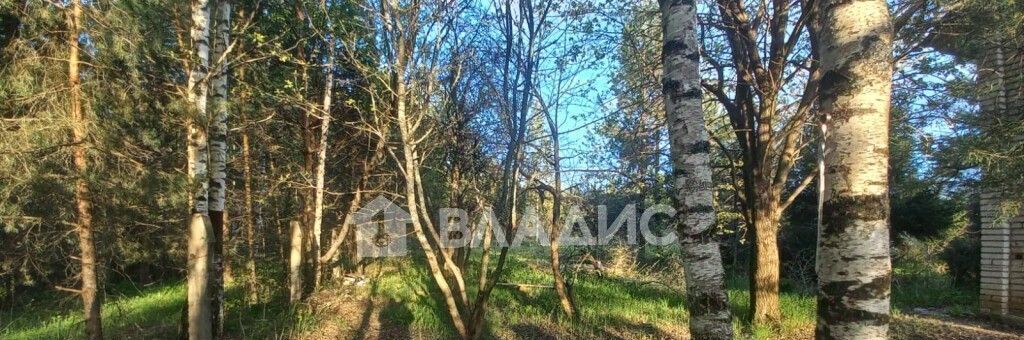 дом р-н Камешковский г Камешково снт Дружба д. Брызгалово фото 20