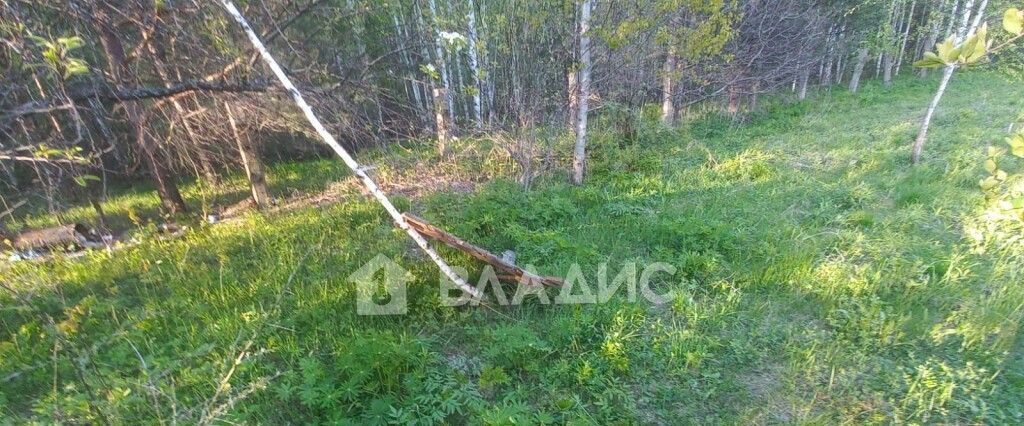 дом р-н Камешковский г Камешково снт Дружба д. Брызгалово фото 22