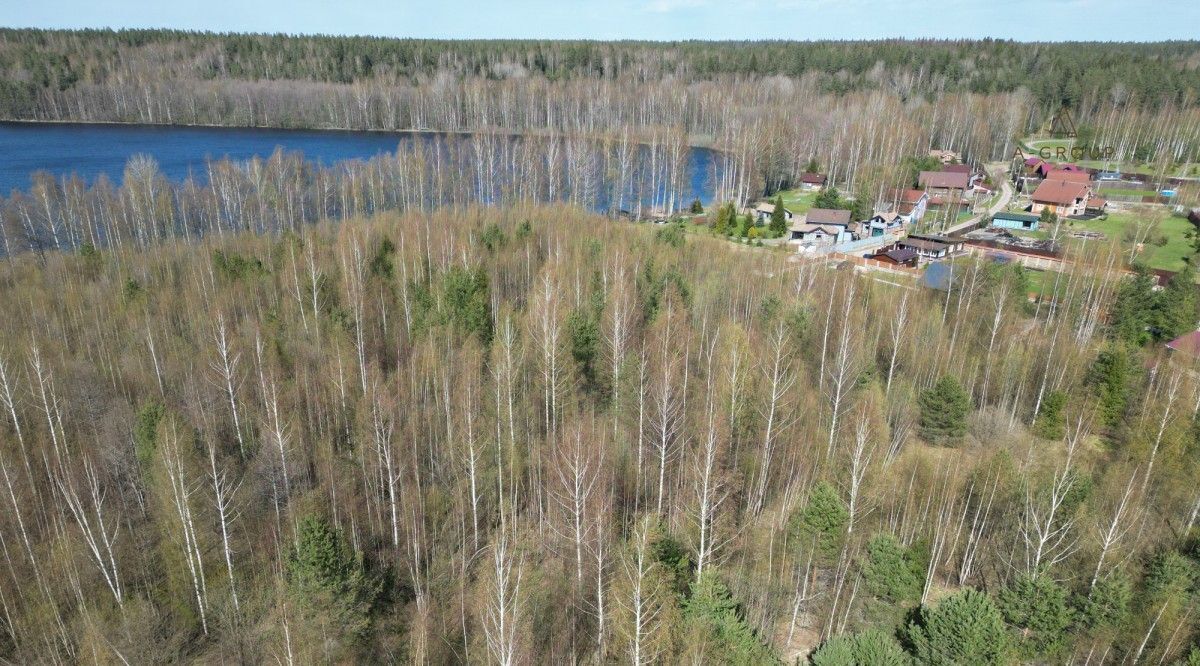 земля р-н Выборгский Приморское городское поселение, Зайчихино ДНП фото 2