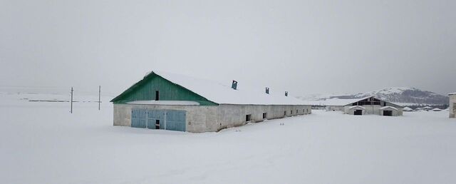 с Уразово пер Горный 4 Уразовский сельсовет, Учалы фото