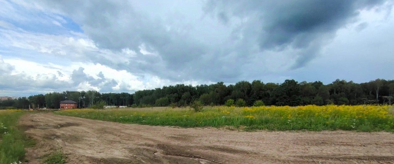 земля р-н Ленинский п Молодежный р-н мкр Рублёво-Медвенское Тула городской округ фото 7