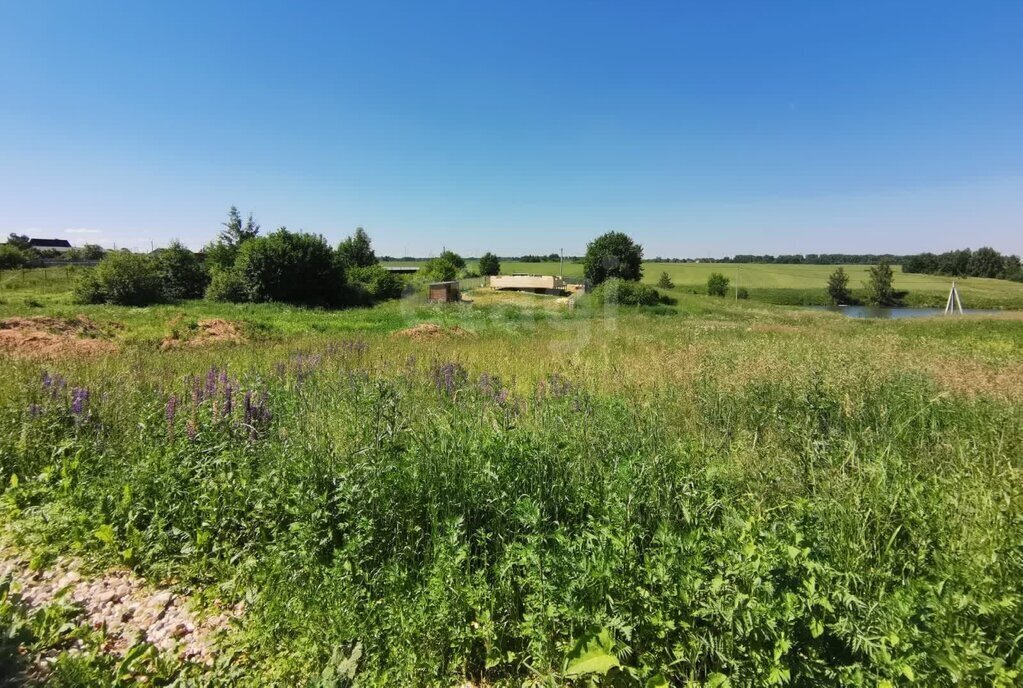 земля городской округ Дмитровский д Алешино фото 2