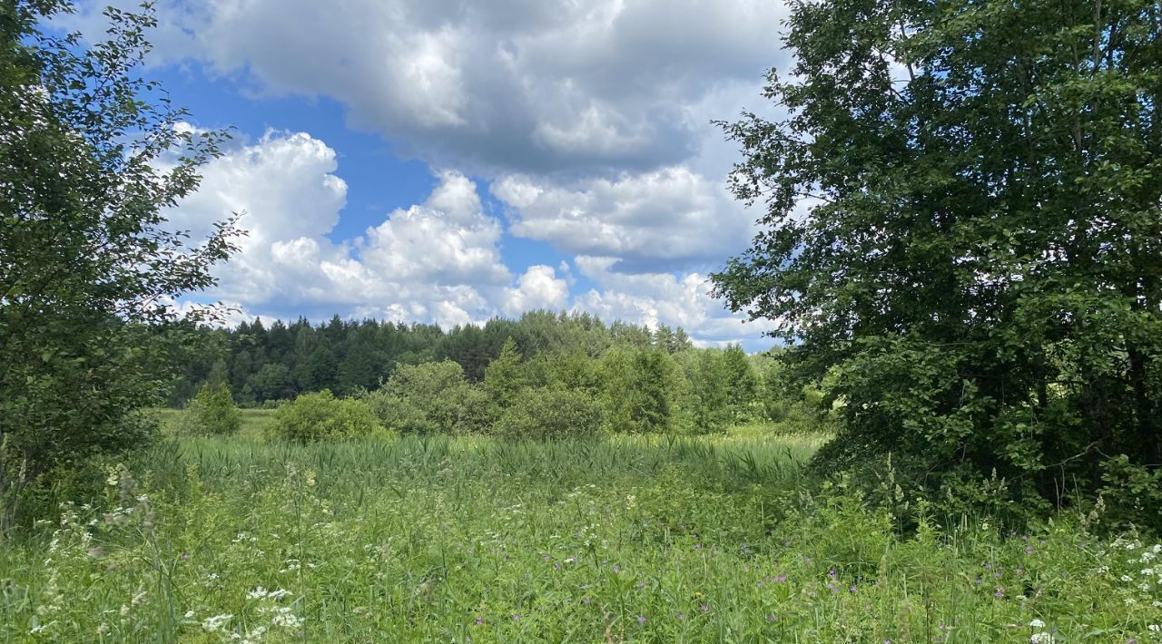 земля р-н Переславский д Желтиково Переславль-Залесский городской округ фото 3