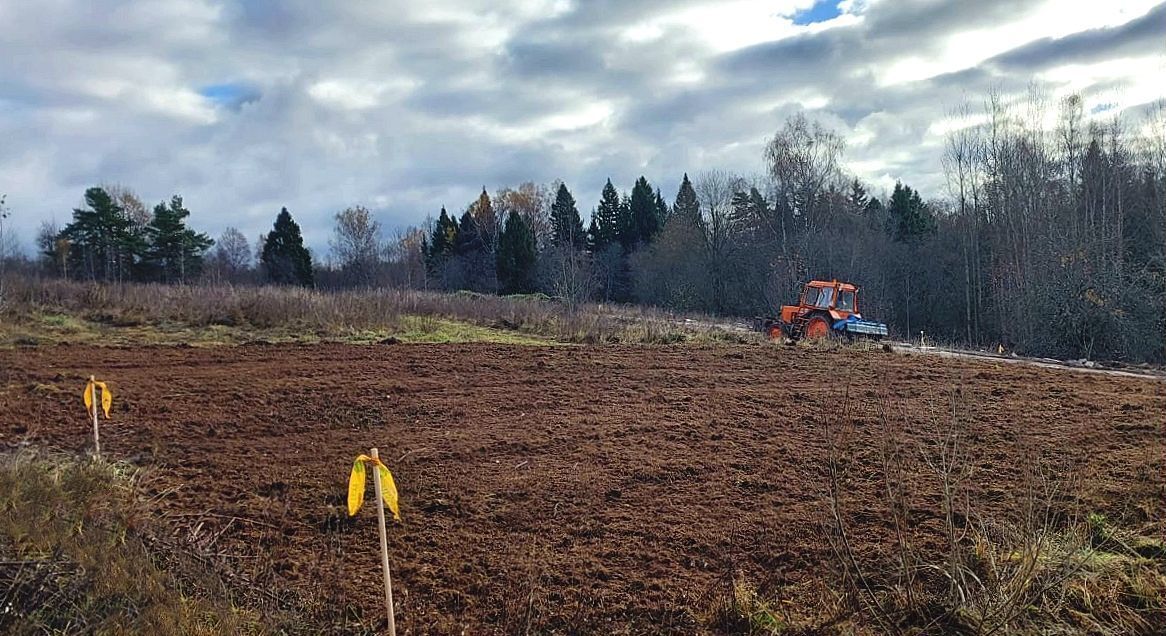 земля городской округ Дмитровский д Сазонки 32 км, коттеджный пос. Форест, Икша, Дмитровское шоссе фото 3