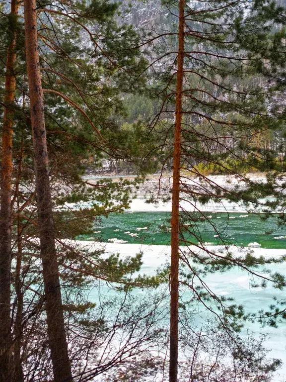 дом р-н Чемальский с Узнезя ул Новые Черемушки 55 Чемал фото 23