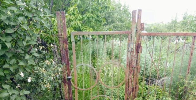 ДНТ, ул. Любимая, Исток фото