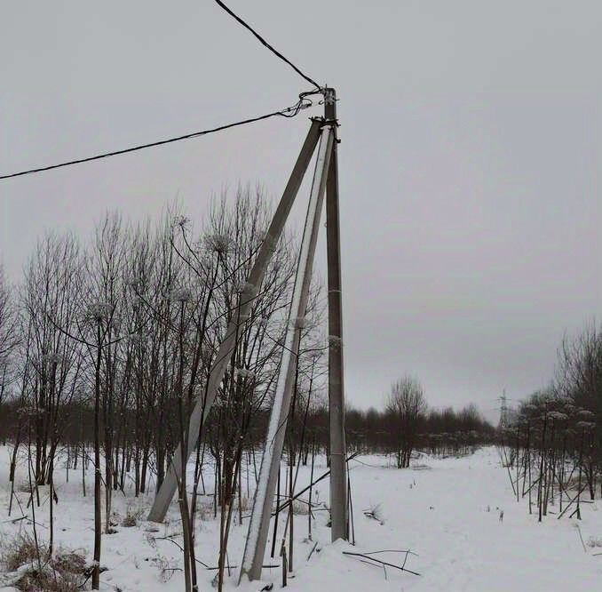 земля р-н Волосовский д Большая Вруда фото 5