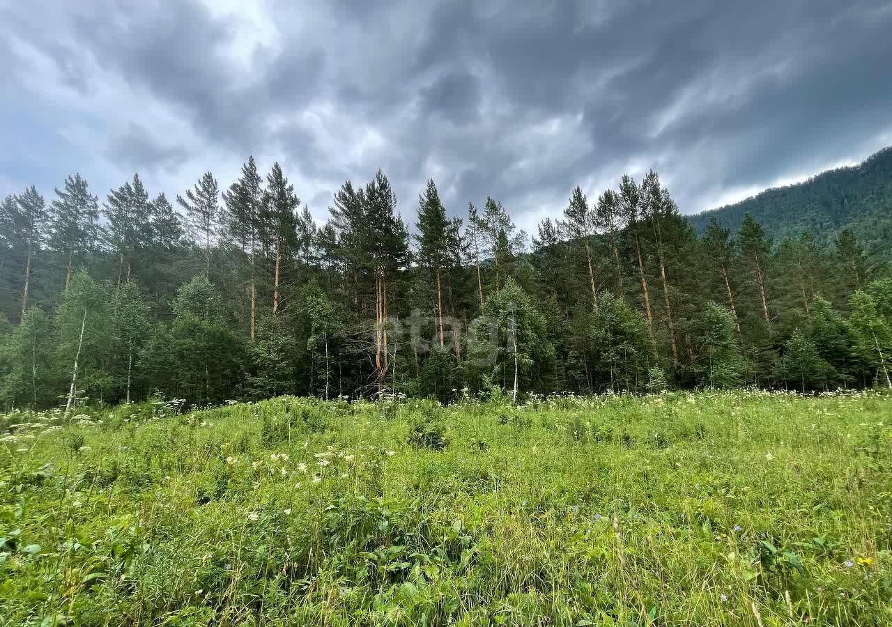 земля р-н Чемальский с Чемал ул Советская Горно-Алтайск фото 3