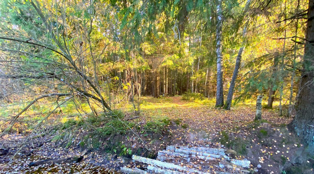 земля городской округ Одинцовский Перст садовое товарищество, 37 фото 1