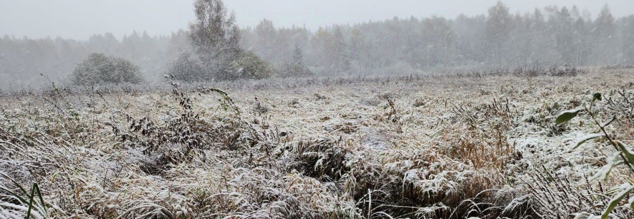 земля городской округ Одинцовский д Дютьково фото 4