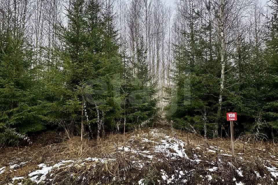 земля городской округ Ступино д Шелково Коттеджный посёлок Shelkovo Forest фото 4