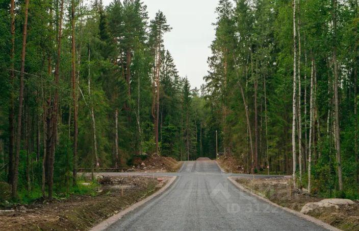 земля р-н Выборгский Приморское городское поселение, Сосновый пляж кп, проезд Береговой фото 3