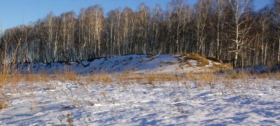 земля р-н Первомайский с Санниково ул Береговая Санниковский сельсовет фото 2