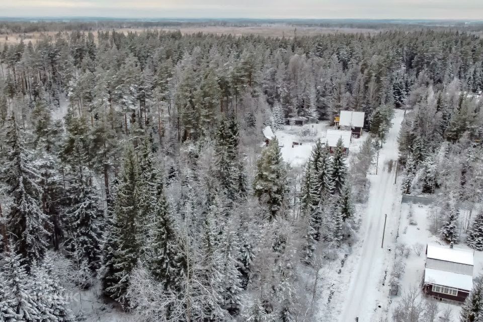 земля р-н Приозерский СНТ Вайсиёки фото 6