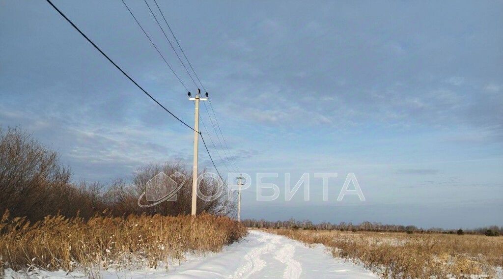 земля р-н Нижнетавдинский снт Березка фото 2