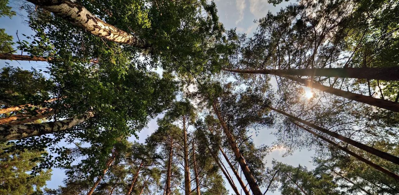 земля городской округ Одинцовский п Николина Гора КП Никологорское Одинцово, ул. Лесное Кольцо, 3 фото 1