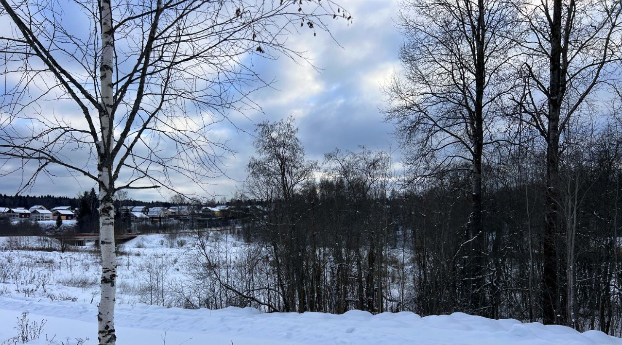 земля городской округ Дмитровский Форест Клаб кп, 4 фото 4