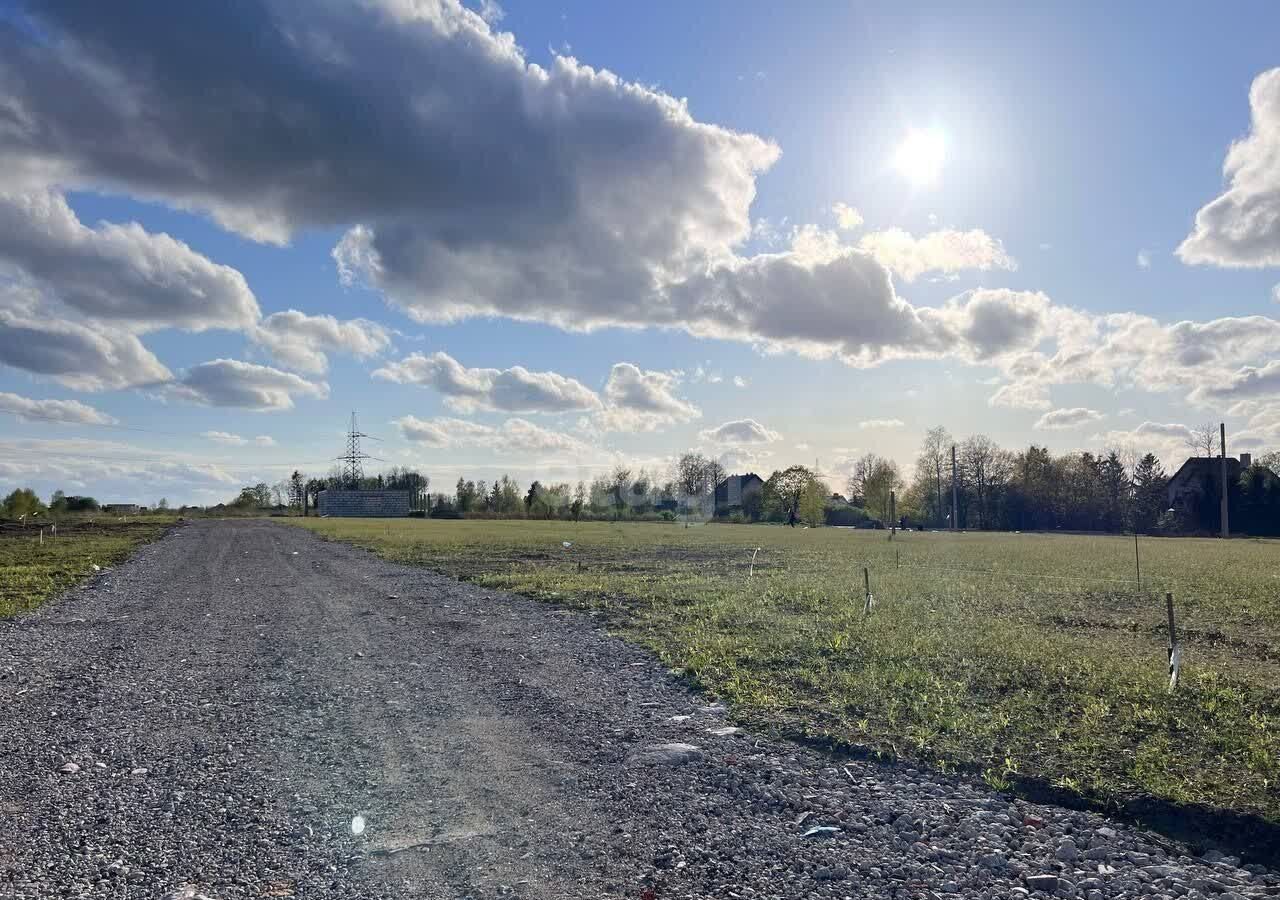 земля р-н Гурьевский п Поддубное Низовское сельское поселение, Гурьевск фото 3