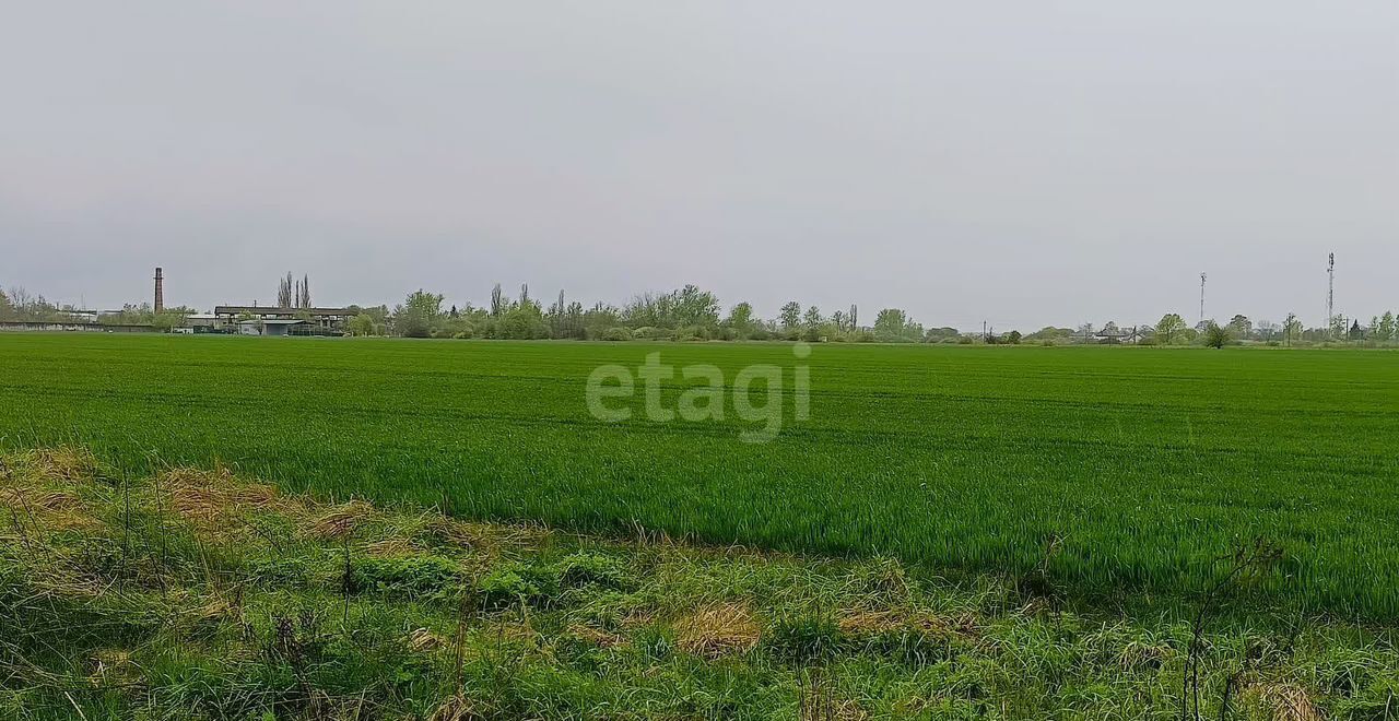 земля р-н Зеленоградский г Зеленоградск СНТ Янтарная долина фото 16