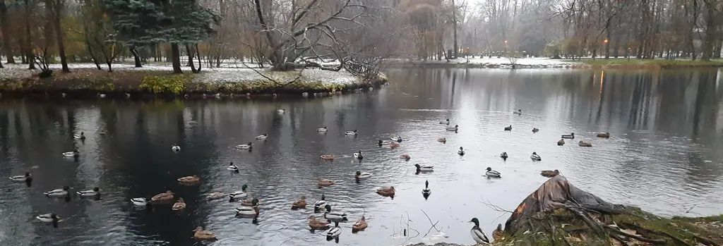 квартира г Санкт-Петербург метро Нарвская пр-кт Старо-Петергофский 41 округ Екатерингофский фото 13