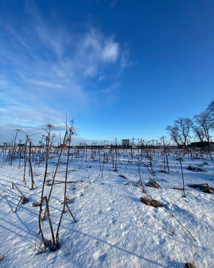 земля р-н Осташковский г Осташков дп. Новый Плёс фото 8