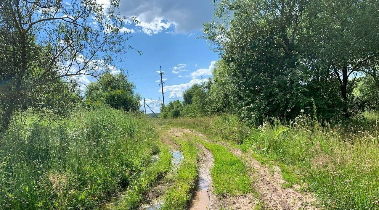 земля р-н Ленинский д Варфоломеево ул Центральная Тула городской округ фото 17