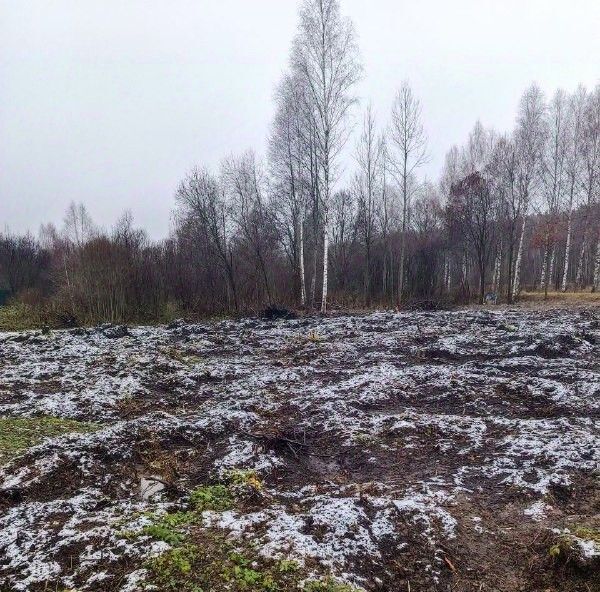 офис городской округ Талдомский Ветеран садовое товарищество, 28 фото 1