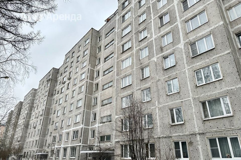 квартира г Балашиха ул Фадеева 13 Балашиха городской округ фото 10