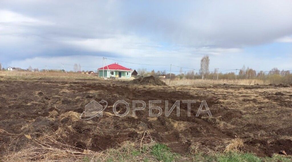 земля г Тюмень р-н Центральный снт Поле чудес-2 Центральный административный округ фото 4