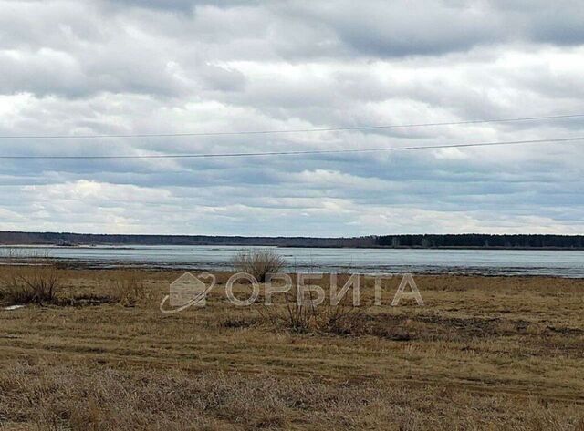 снт Садовое общество, Архип фото