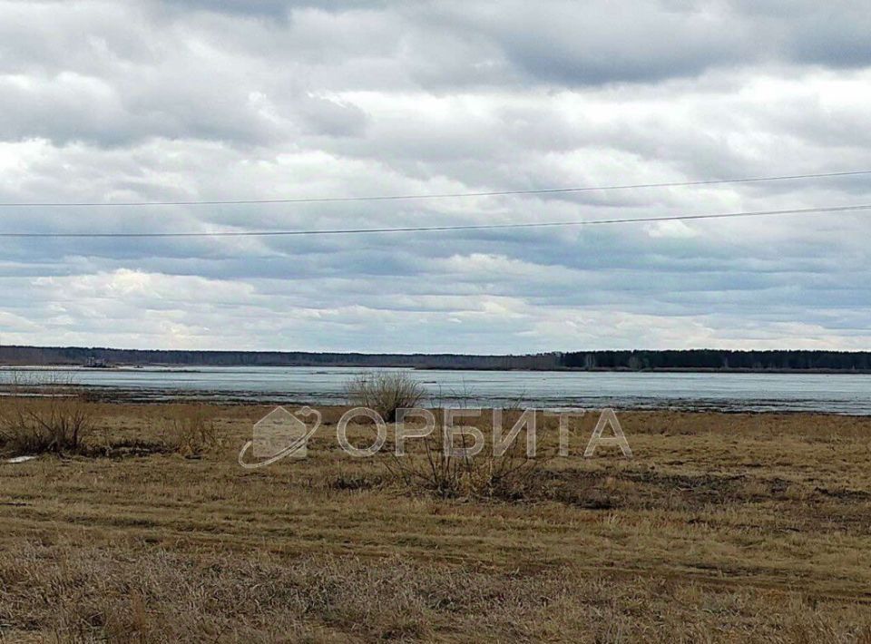 земля р-н Тюменский снт Садовое общество, Архип фото 4