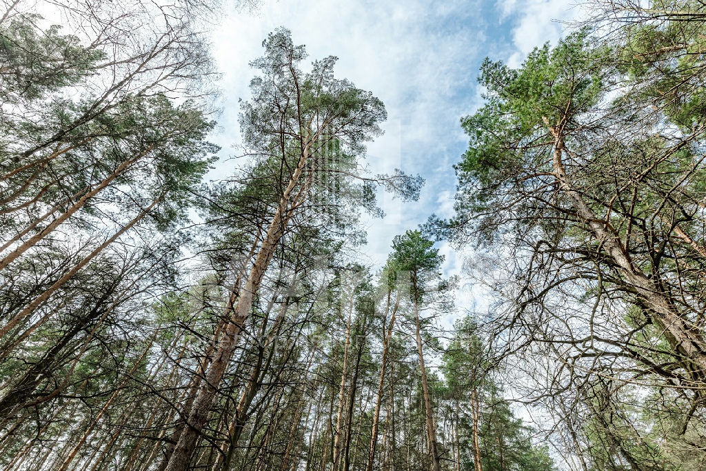 земля городской округ Одинцовский д Жуковка ЖК «Жуковка, 61» фото 1