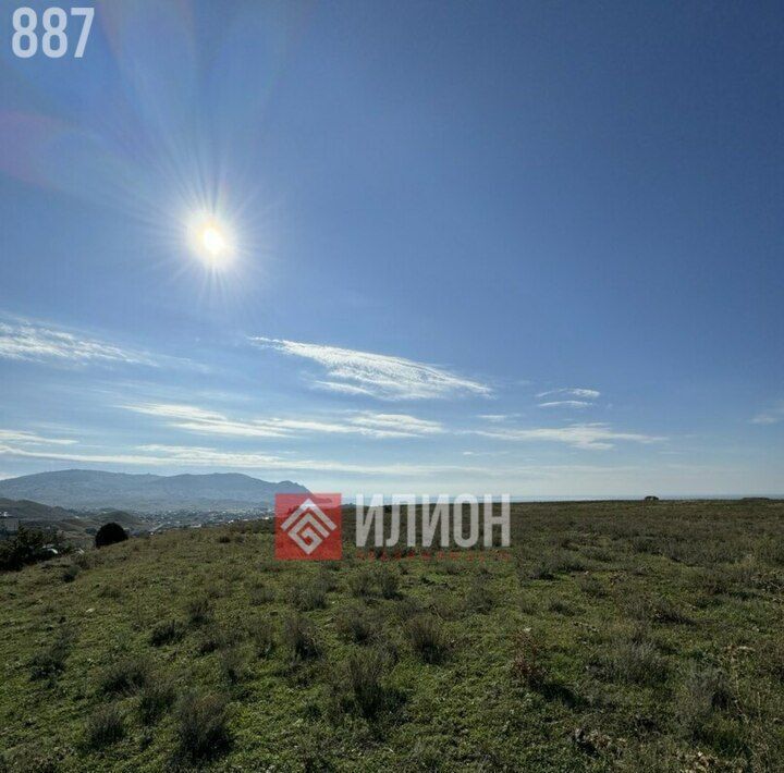 земля г Судак с Миндальное фото 1