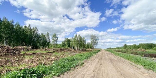 снт Душевное Тюмень фото