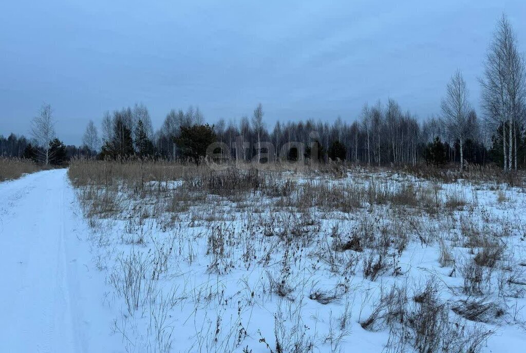 земля р-н Нижнетавдинский п Карагандинский садовые участки фото 3