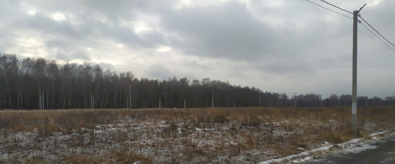 земля городской округ Раменский Новое Давыдово кп фото 8