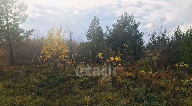г Талица ул Луначарского фото