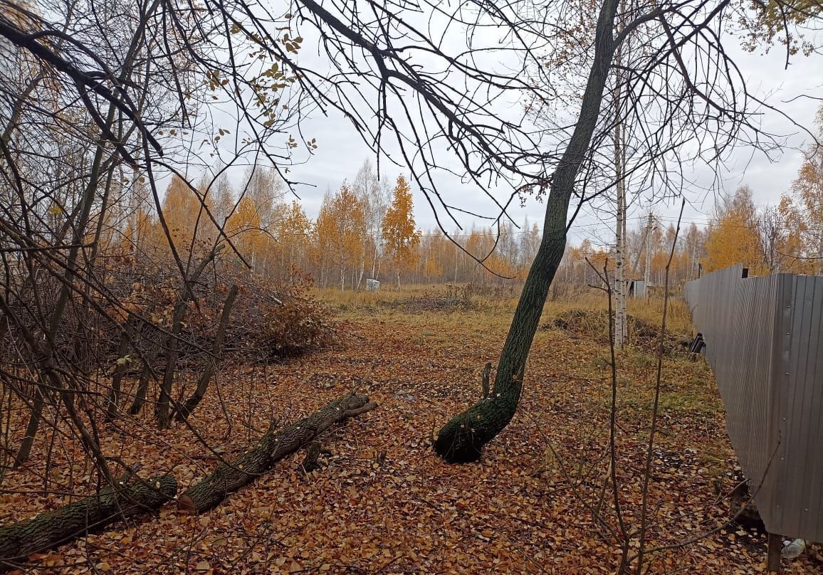 земля р-н Ульяновский рп Ишеевка Ишеевское городское поселение фото 3