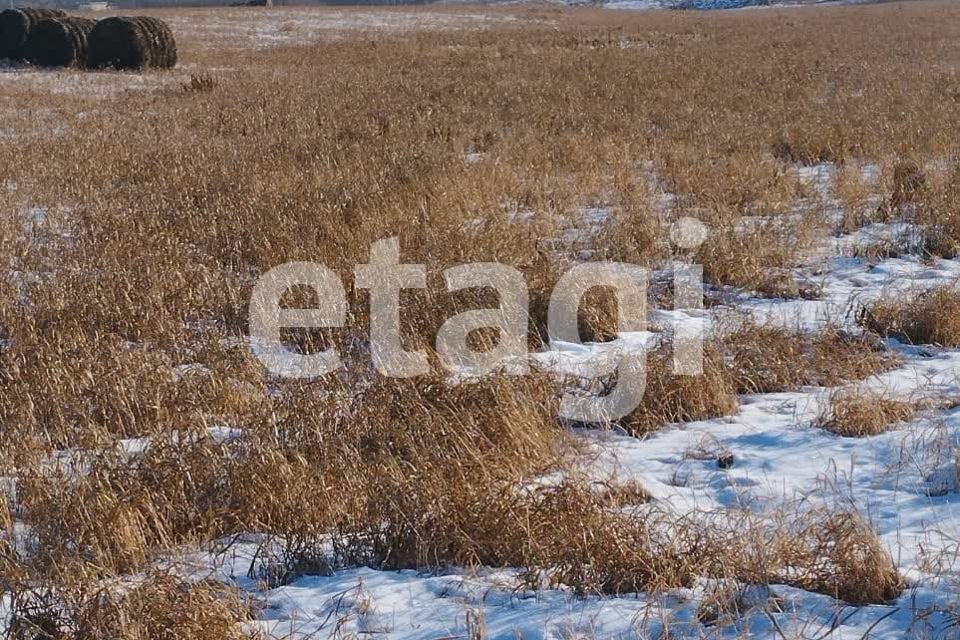 земля г Красноярск р-н Центральный ул Петра Подзолкова 3 Красноярск городской округ фото 3