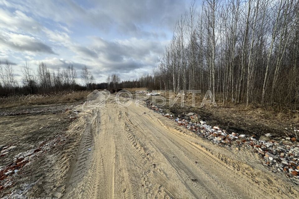 земля г Тюмень Тюмень городской округ, СНТ Березняки фото 1