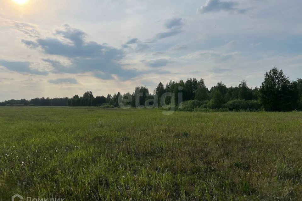 земля р-н Тюменский с. Салаирка фото 8