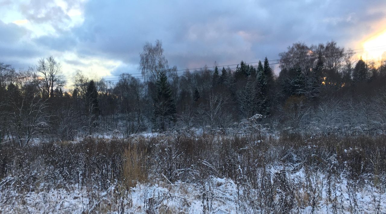 офис городской округ Пушкинский д Раково фото 1