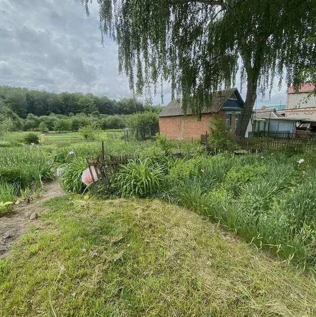 земля р-н Белгородский село Новая Деревня, Песчаная улица, 15 фото 3