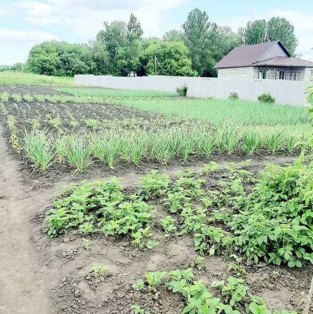 дом р-н Белгородский с Ближнее ул Луговая фото 8