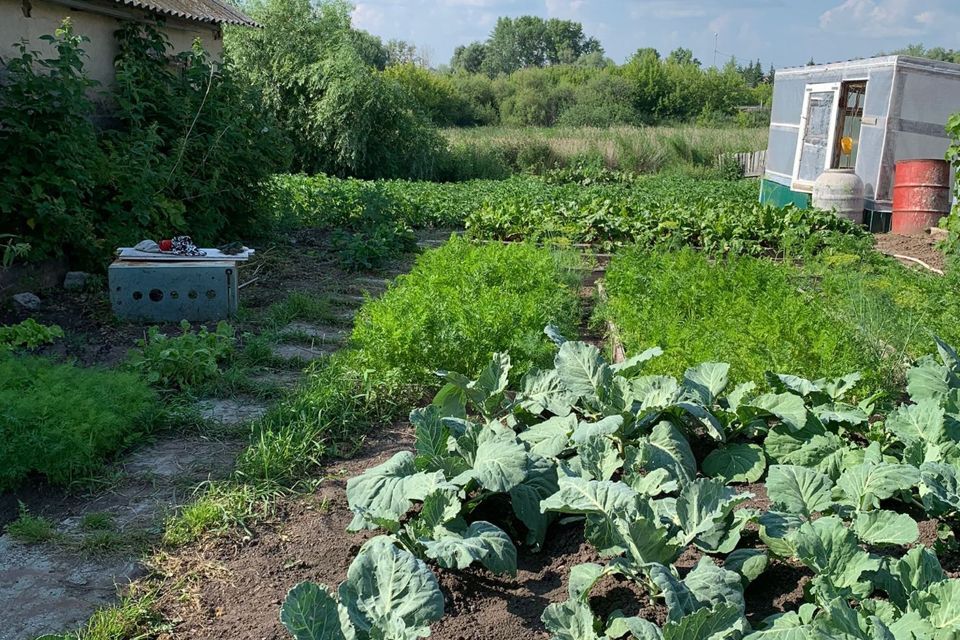 земля г Ишим Луначарского, 86 / Карасульская, 9, Ишимский район фото 5