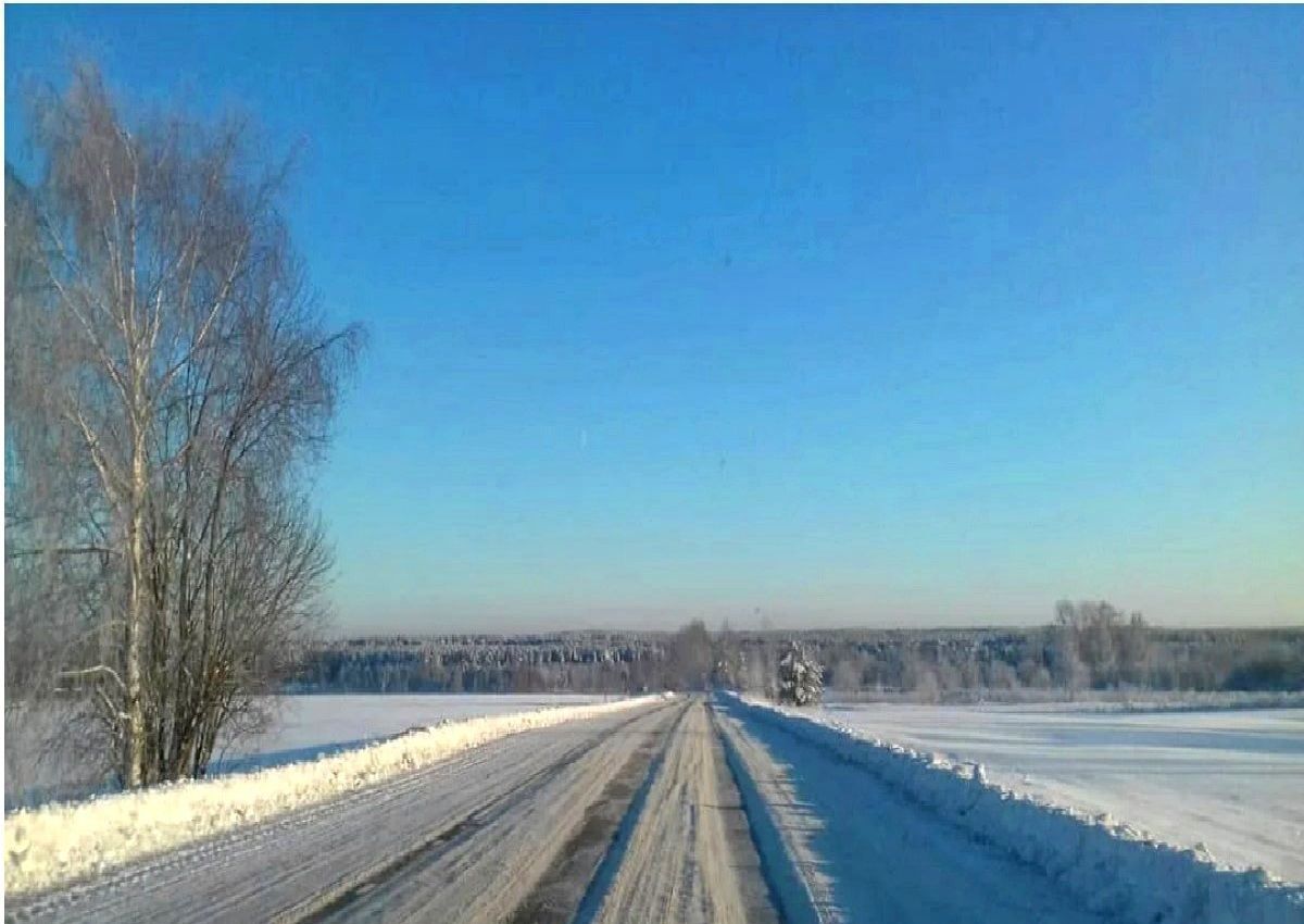 земля г Домодедово мкр Белые Столбы ул Краснопрудная 31 км, Новокаширское шоссе фото 7