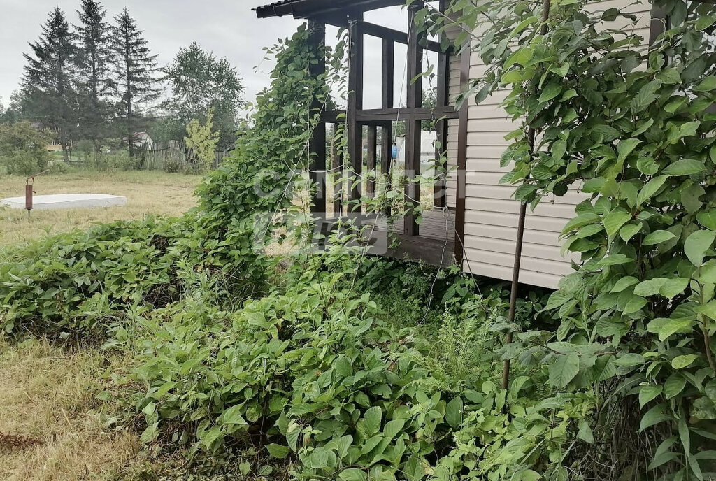 дом р-н Смидовичский с им Тельмана Приамурское городское поселение фото 6