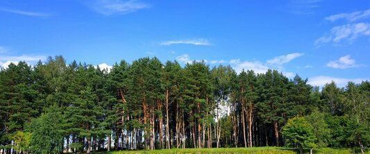 дом городской округ Можайский д Блазново пер Березовый фото 25